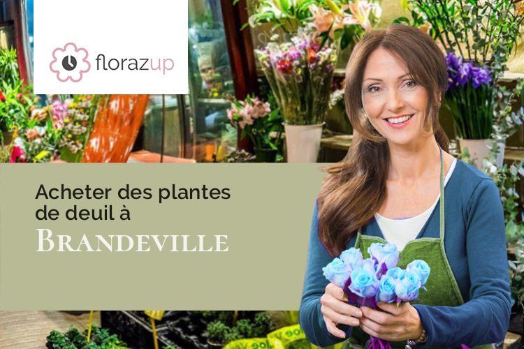 créations de fleurs pour une crémation à Brandeville (Meuse/55150)