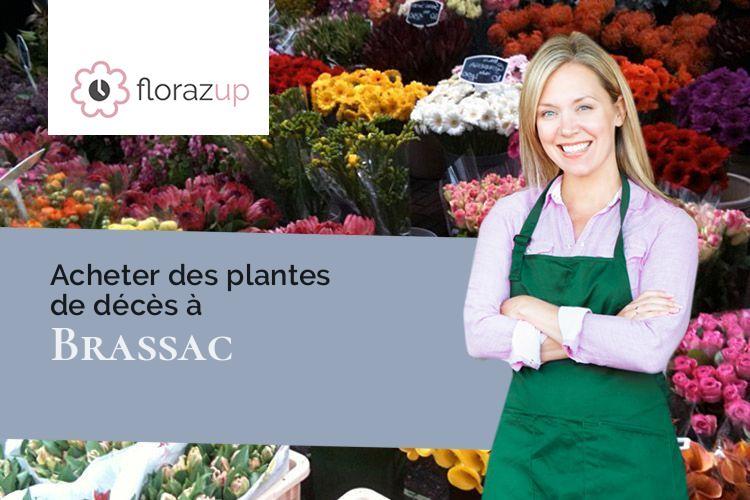 coupes de fleurs pour des funérailles à Brassac (Tarn-et-Garonne/82190)