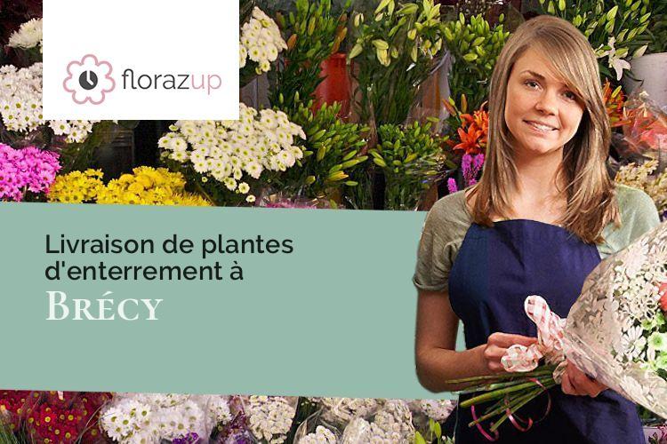 coupes de fleurs pour une crémation à Brécy (Aisne/02210)