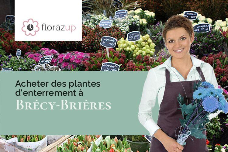 couronnes de fleurs pour un décès à Brécy-Brières (Ardennes/08400)