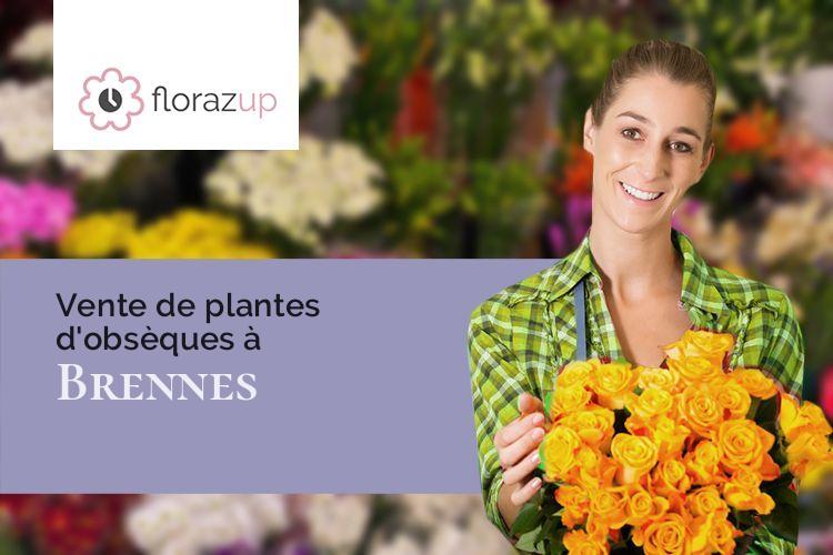 coeurs de fleurs pour un décès à Brennes (Haute-Marne/52200)