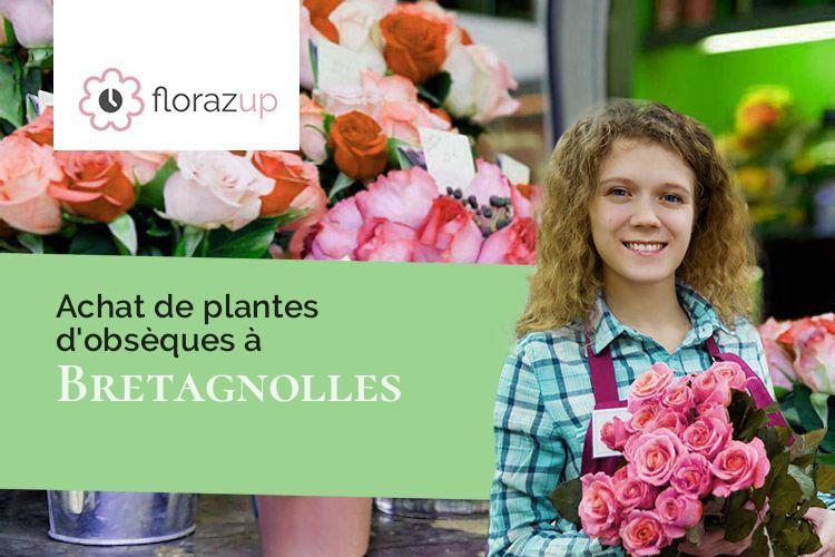 compositions de fleurs pour des obsèques à Bretagnolles (Eure/27220)