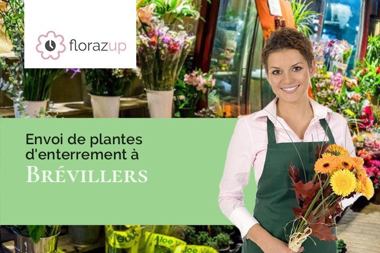 bouquets de fleurs pour un décès à Brévillers (Pas-de-Calais/62140)