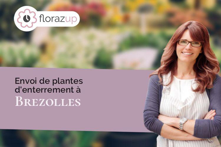 gerbes de fleurs pour une crémation à Brezolles (Eure-et-Loir/28270)