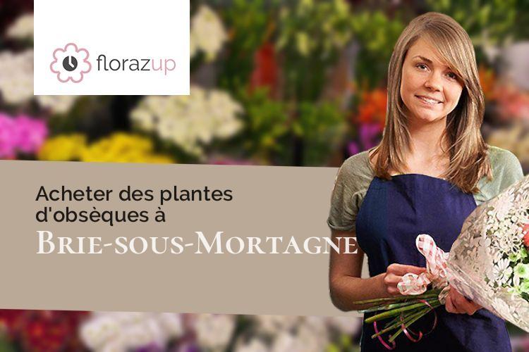 bouquets de fleurs pour un décès à Brie-sous-Mortagne (Charente-Maritime/17120)