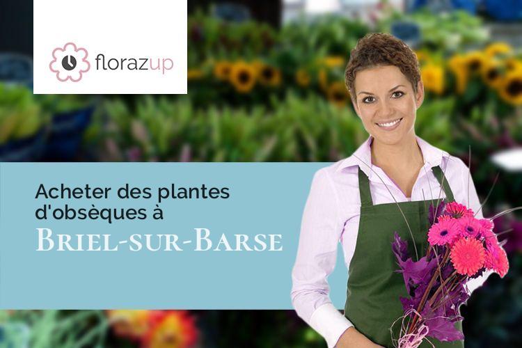 couronnes florales pour un deuil à Briel-sur-Barse (Aube/10140)