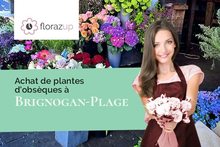 couronnes florales pour un décès à Brignogan-Plage (Finistère/29890)