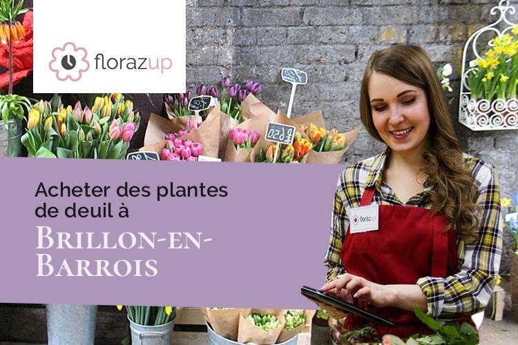 couronnes de fleurs pour une crémation à Brillon-en-Barrois (Meuse/55000)