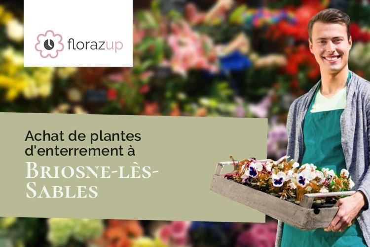 compositions florales pour des obsèques à Briosne-lès-Sables (Sarthe/72110)