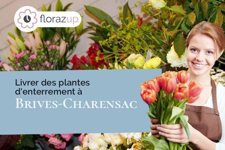 bouquets de fleurs pour un décès à Brives-Charensac (Haute-Loire/43700)