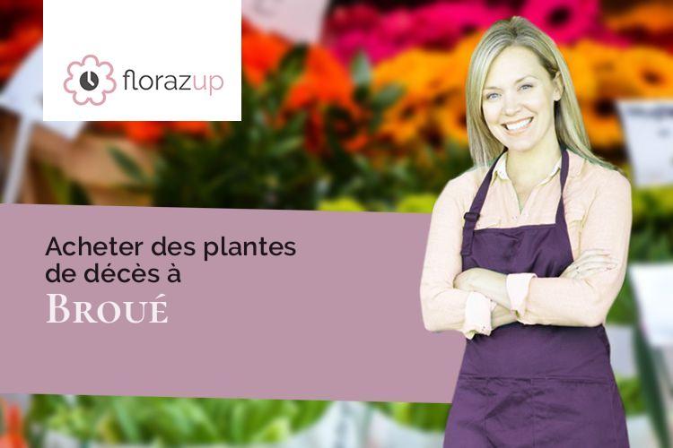 fleurs deuil pour une crémation à Broué (Eure-et-Loir/28410)