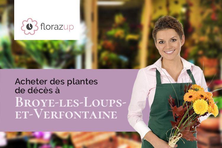 gerbes de fleurs pour une crémation à Broye-les-Loups-et-Verfontaine (Haute-Saône/70100)