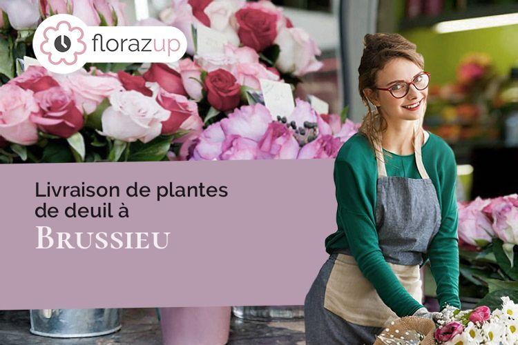 coupes de fleurs pour un décès à Brussieu (Rhône/69690)