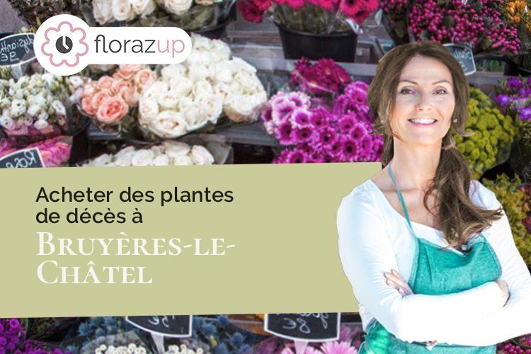 bouquets de fleurs pour un enterrement à Bruyères-le-Châtel (Essonne/91680)