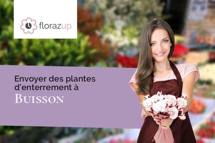 fleurs deuil pour un deuil à Buisson (Vaucluse/84110)