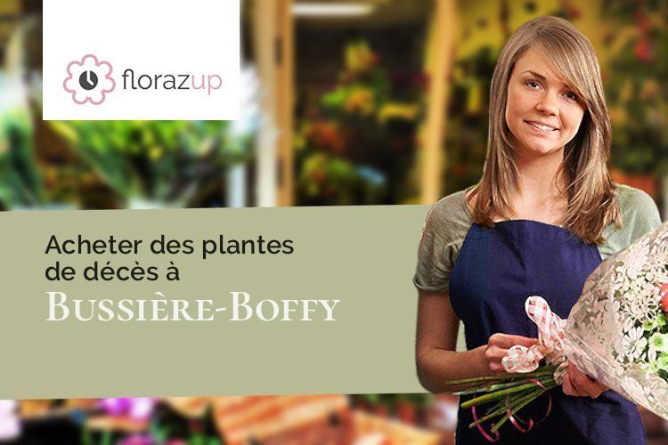 couronnes florales pour un enterrement à Bussière-Boffy (Haute-Vienne/87330)