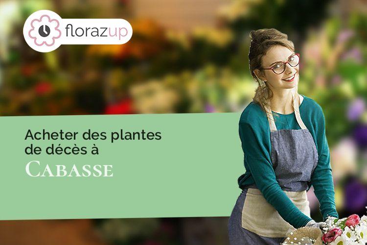 plantes pour une crémation à Cabasse (Var/83340)