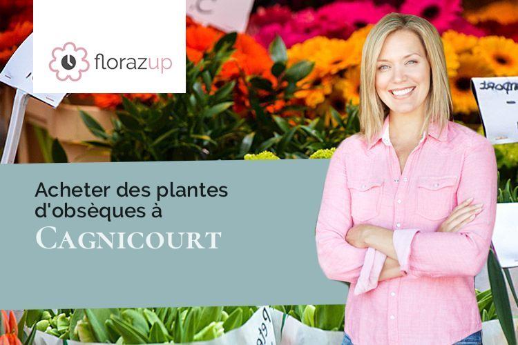 bouquets de fleurs pour un enterrement à Cagnicourt (Pas-de-Calais/62182)