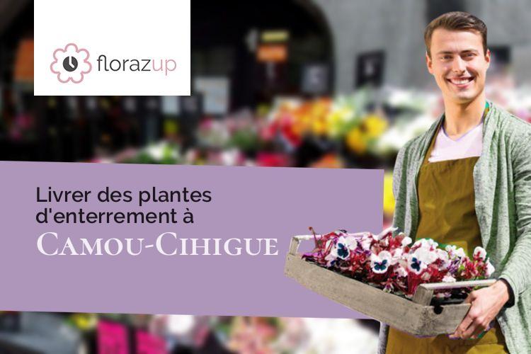 couronnes florales pour des obsèques à Camou-Cihigue (Pyrénées-Atlantiques/64470)