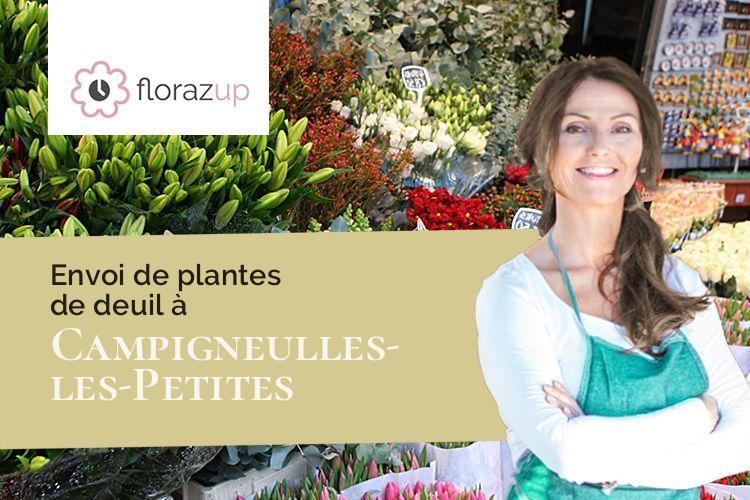 compositions de fleurs pour des funérailles à Campigneulles-les-Petites (Pas-de-Calais/62170)