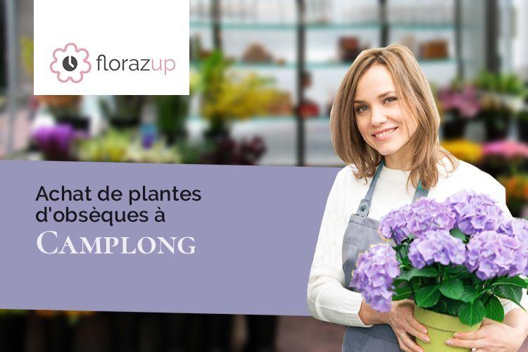 coeurs de fleurs pour une crémation à Camplong (Hérault/34260)