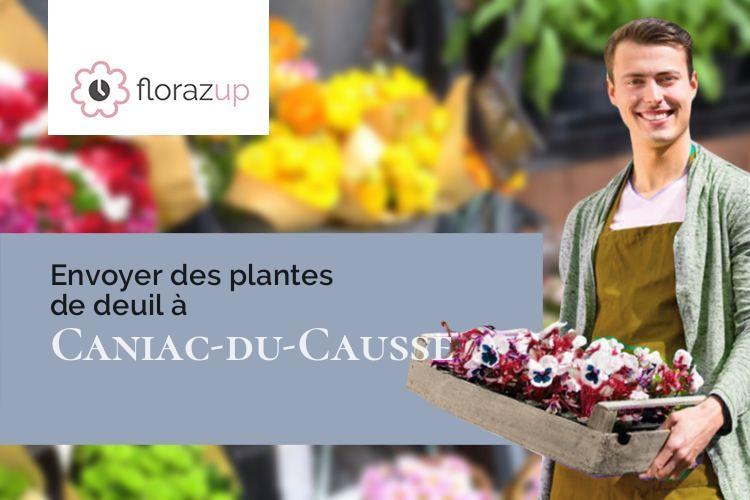 coeurs de fleurs pour des obsèques à Caniac-du-Causse (Lot/46240)