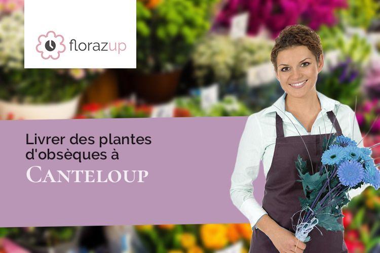 coupes de fleurs pour un enterrement à Canteloup (Manche/50330)