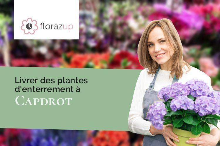 plantes pour un décès à Capdrot (Dordogne/24540)