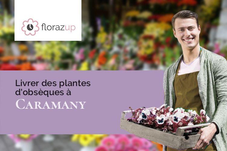 couronnes florales pour un deuil à Caramany (Pyrénées-Orientales/66720)