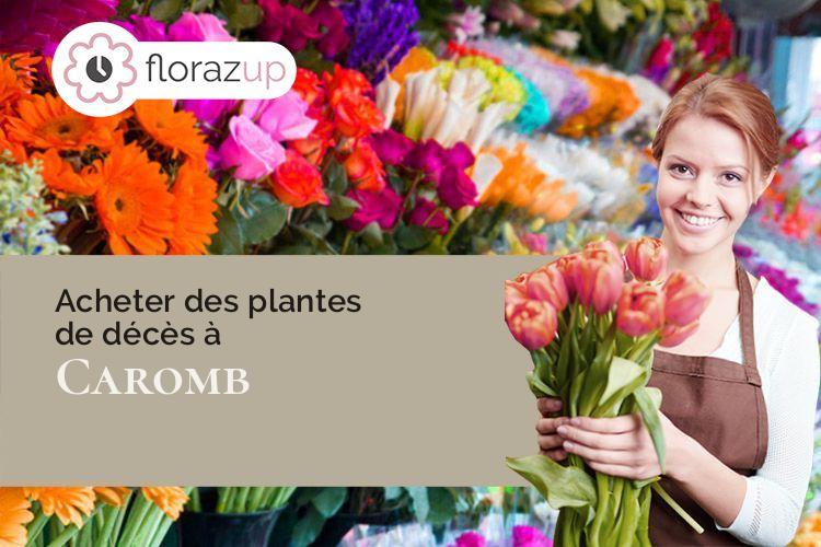 créations florales pour un décès à Caromb (Vaucluse/84330)