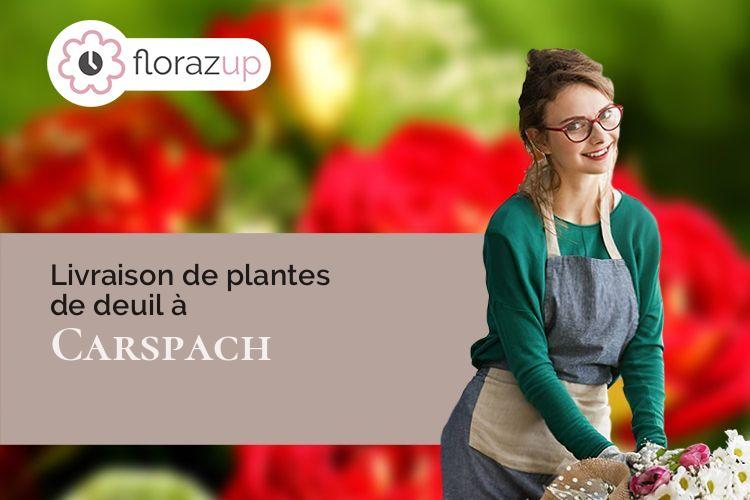 créations florales pour un décès à Carspach (Haut-Rhin/68130)