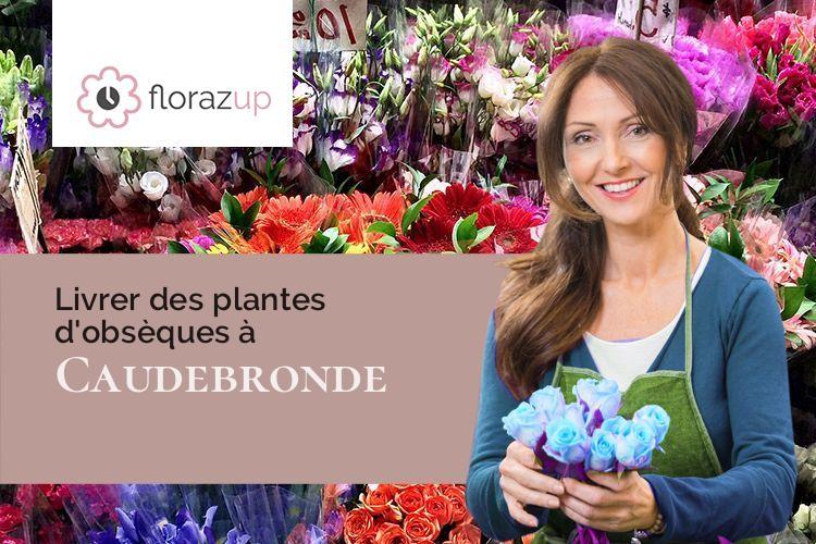 croix de fleurs pour un décès à Caudebronde (Aude/11390)