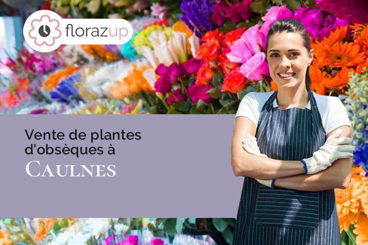 plantes pour un décès à Caulnes (Côtes-d'Armor/22350)