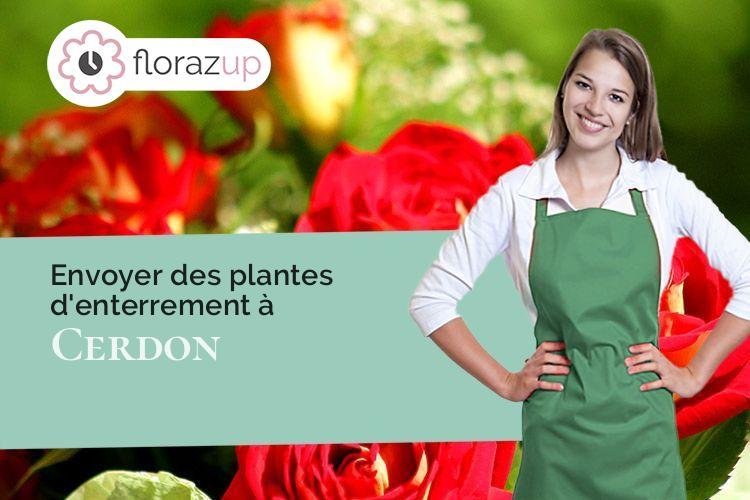 coupes de fleurs pour des obsèques à Cerdon (Loiret/45620)
