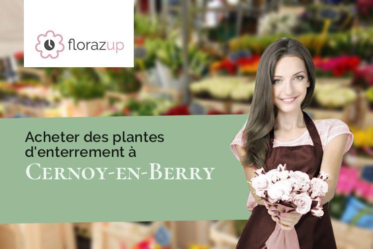 plantes pour un enterrement à Cernoy-en-Berry (Loiret/45360)