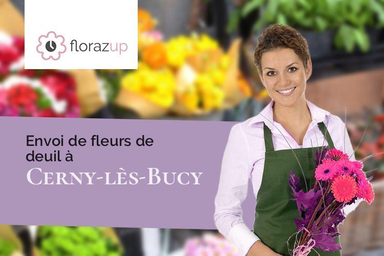 plantes pour des obsèques à Cerny-lès-Bucy (Aisne/02870)