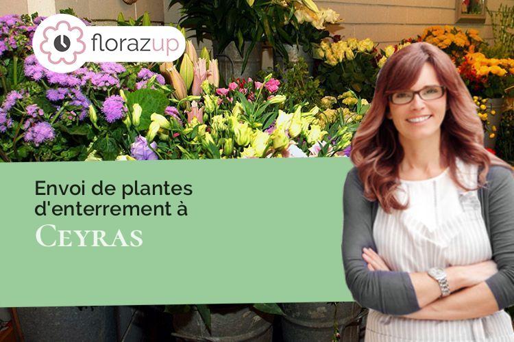 couronnes florales pour un décès à Ceyras (Hérault/34800)