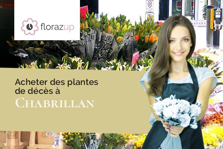 plantes pour des funérailles à Chabrillan (Drôme/26400)