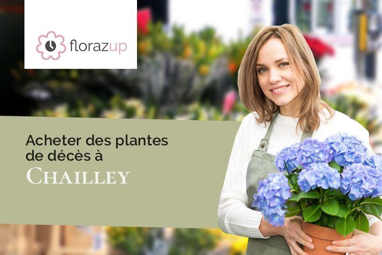 couronnes florales pour des funérailles à Chailley (Yonne/89770)