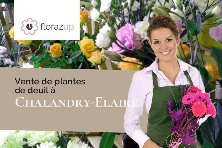 coeurs de fleurs pour des obsèques à Chalandry-Elaire (Ardennes/08160)