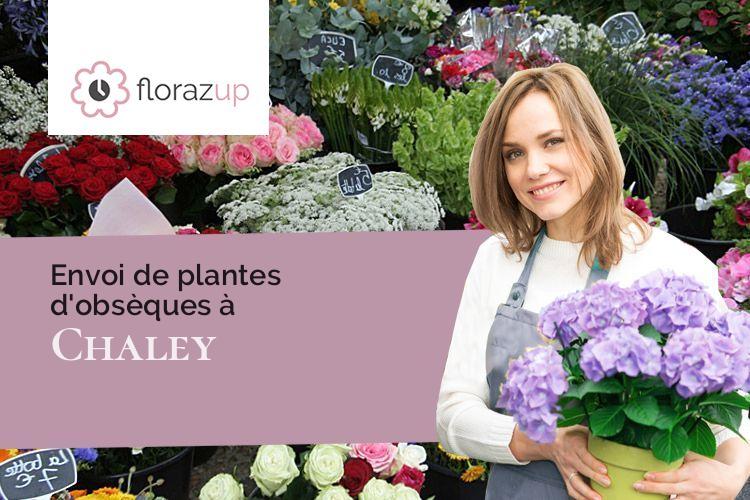 bouquets de fleurs pour un décès à Chaley (Ain/01230)