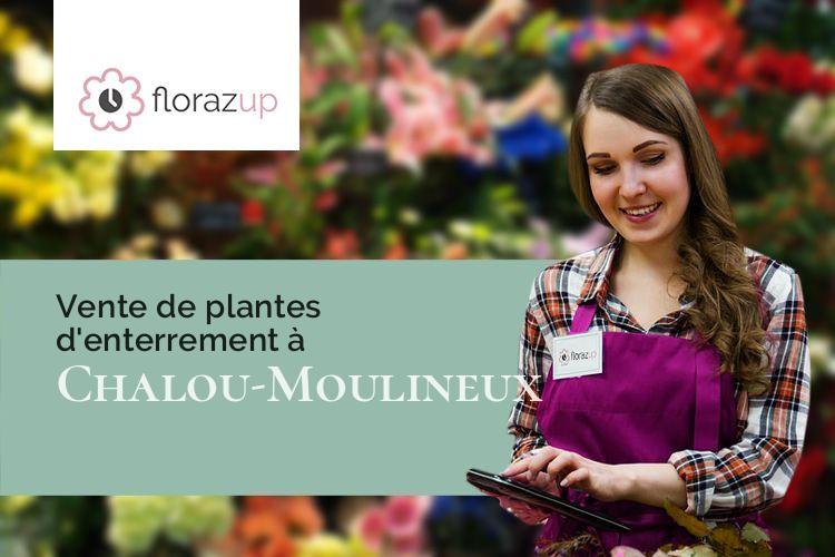 compositions florales pour un deuil à Chalou-Moulineux (Essonne/91740)