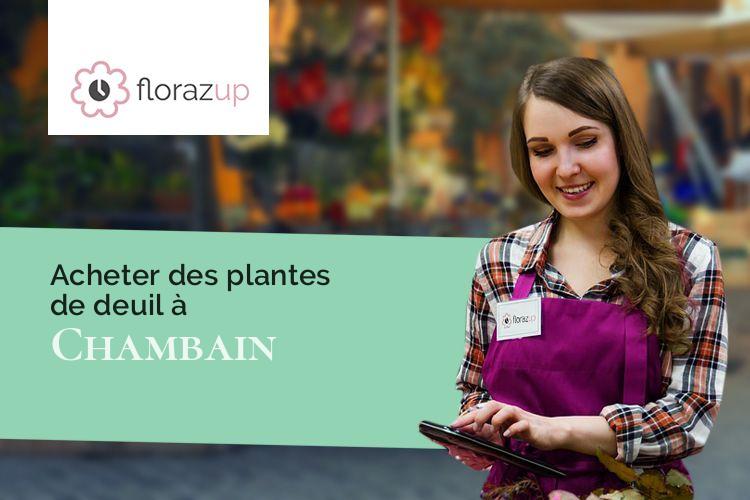 bouquets de fleurs pour des obsèques à Chambain (Côte-d'Or/21290)