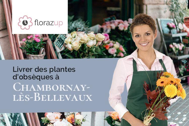 couronnes de fleurs pour une crémation à Chambornay-lès-Bellevaux (Haute-Saône/70190)