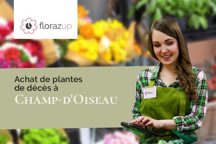 coeurs de fleurs pour un enterrement à Champ-d'Oiseau (Côte-d'Or/21500)