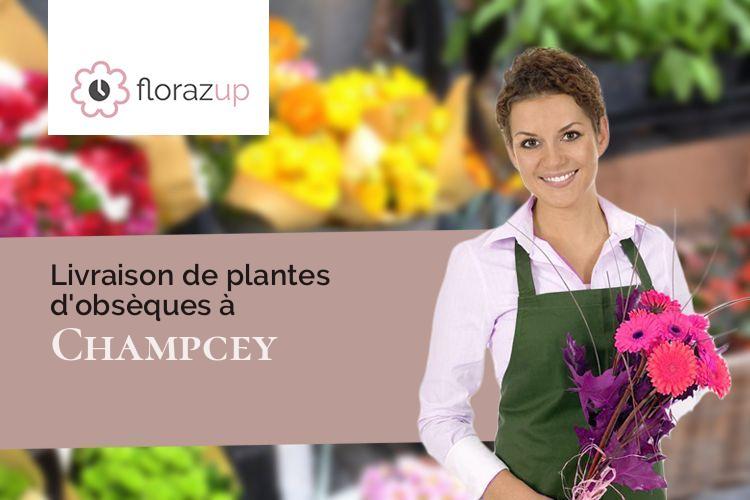 compositions de fleurs pour un deuil à Champcey (Manche/50530)