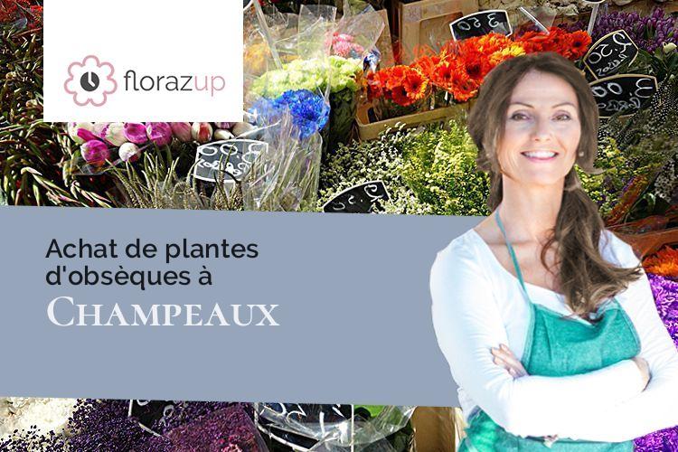 couronnes florales pour un enterrement à Champeaux (Manche/50530)