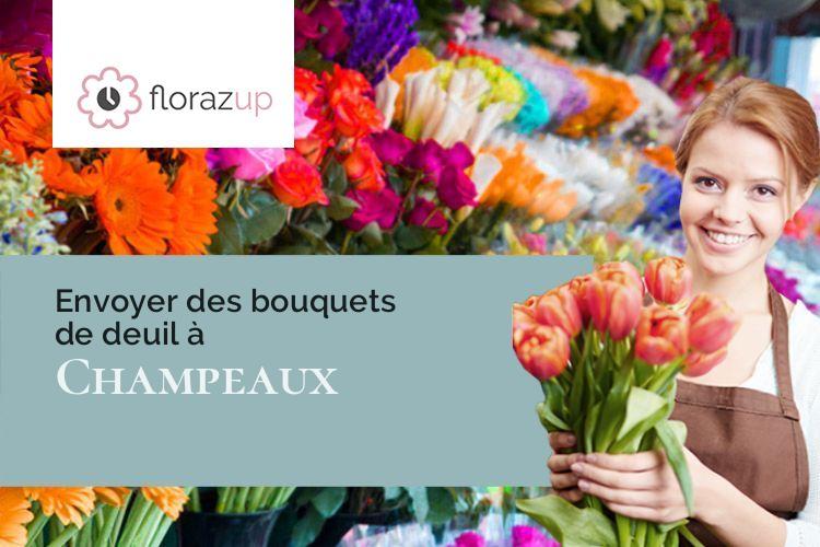 coupes de fleurs pour un décès à Champeaux (Seine-et-Marne/77720)
