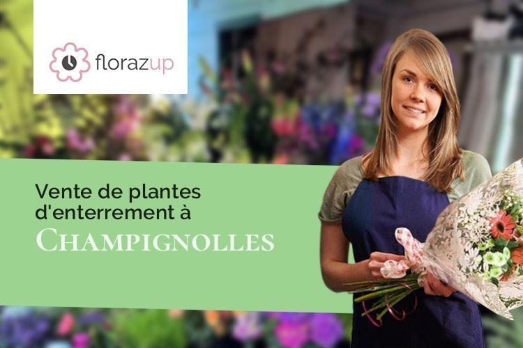 gerbes de fleurs pour un décès à Champignolles (Côte-d'Or/21230)