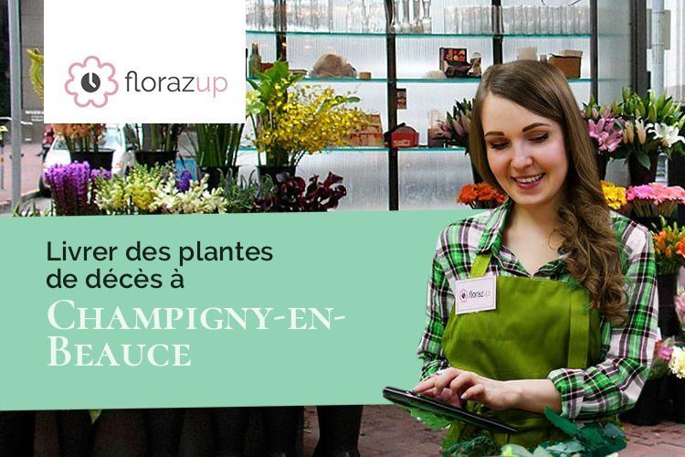 créations florales pour une crémation à Champigny-en-Beauce (Loir-et-Cher/41330)